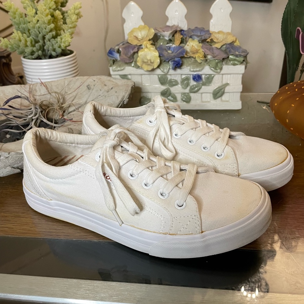 TAOS WOMENS PLIM SOUL SNEAKERS 8.5